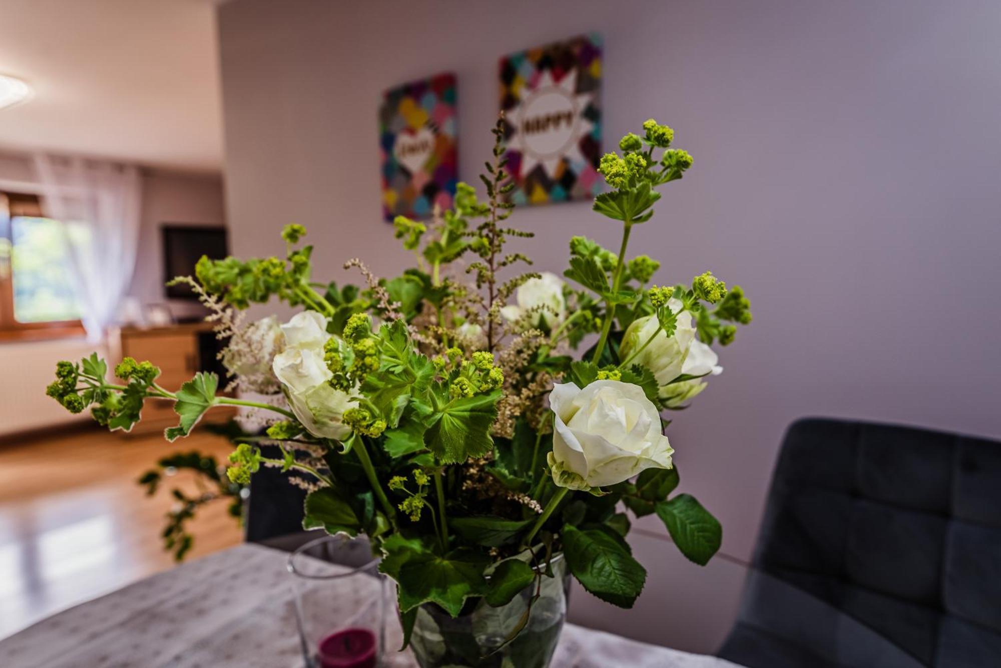 Apartamenty Widok Щавниця Екстер'єр фото