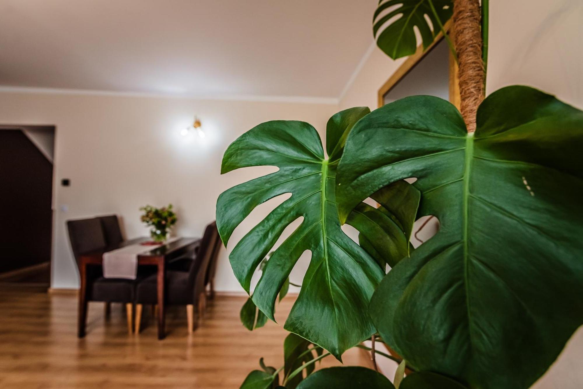 Apartamenty Widok Щавниця Екстер'єр фото
