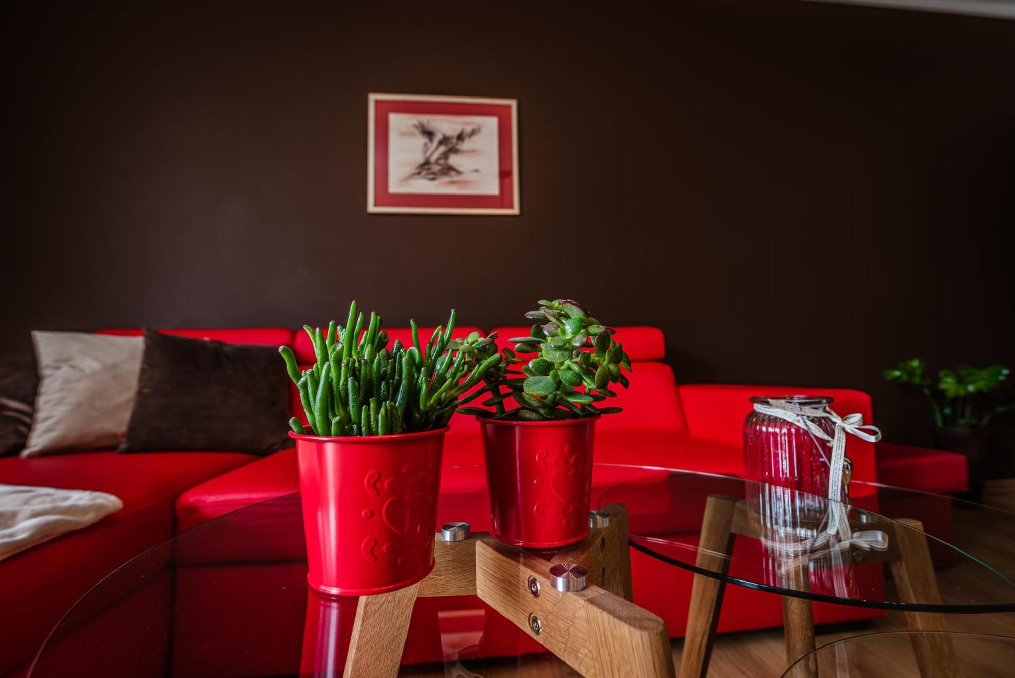 Apartamenty Widok Щавниця Екстер'єр фото